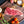 Load image into Gallery viewer, Masami Farms American Wagyu Bone-In NY Strip - 18oz