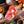 Load image into Gallery viewer, (37-40oz) Stone Axe Bone-In Ribeye BMS9+