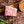 Load image into Gallery viewer, A5 CERTIFIED Kobe Wine WAGYU BLOCK CUT
