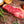 Load image into Gallery viewer, Grass Fed Beef NY Strip
