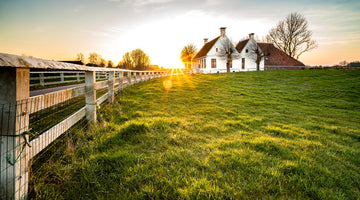From Farm to Table: A Look at Our Meat Sourcing and Processing