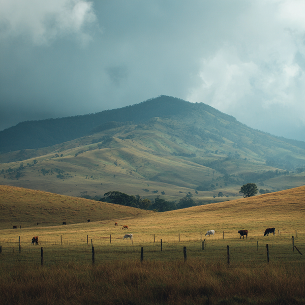 Health Benefits of Wagyu Beef: Why This Luxurious Steak Is Surprisingly Good for You